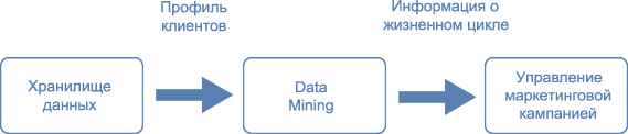 Место Data Mining в управлении маркетинговой кампанией