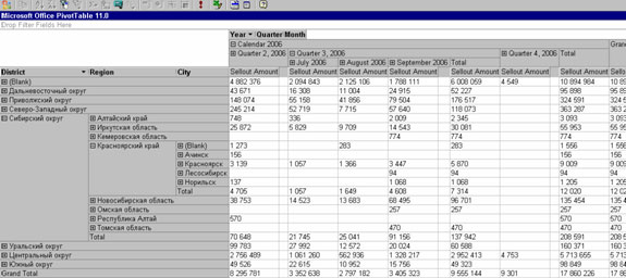   Pivot-table   Office Web Controls